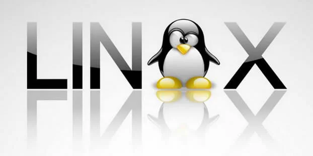 Linux From Scratch